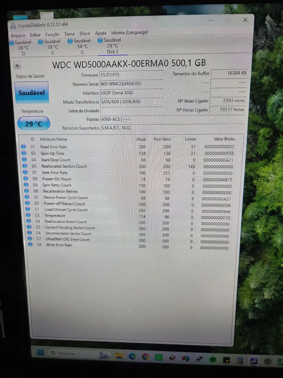 Hd WD 3,5 500GB Usado  - Foto 3