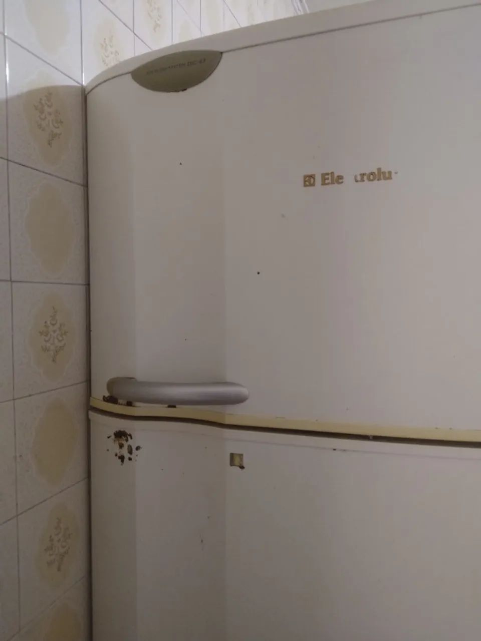 Geladeira Eletrolux Air Flow System DC 47