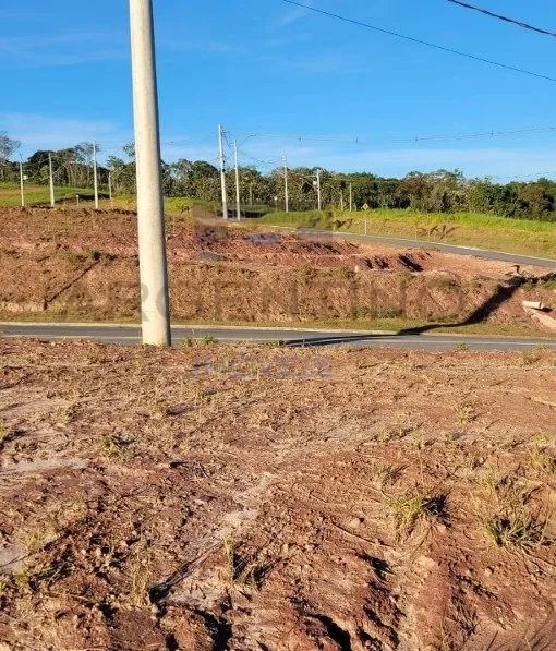 Terreno Plano Mosaico Horizontes - Foto 4