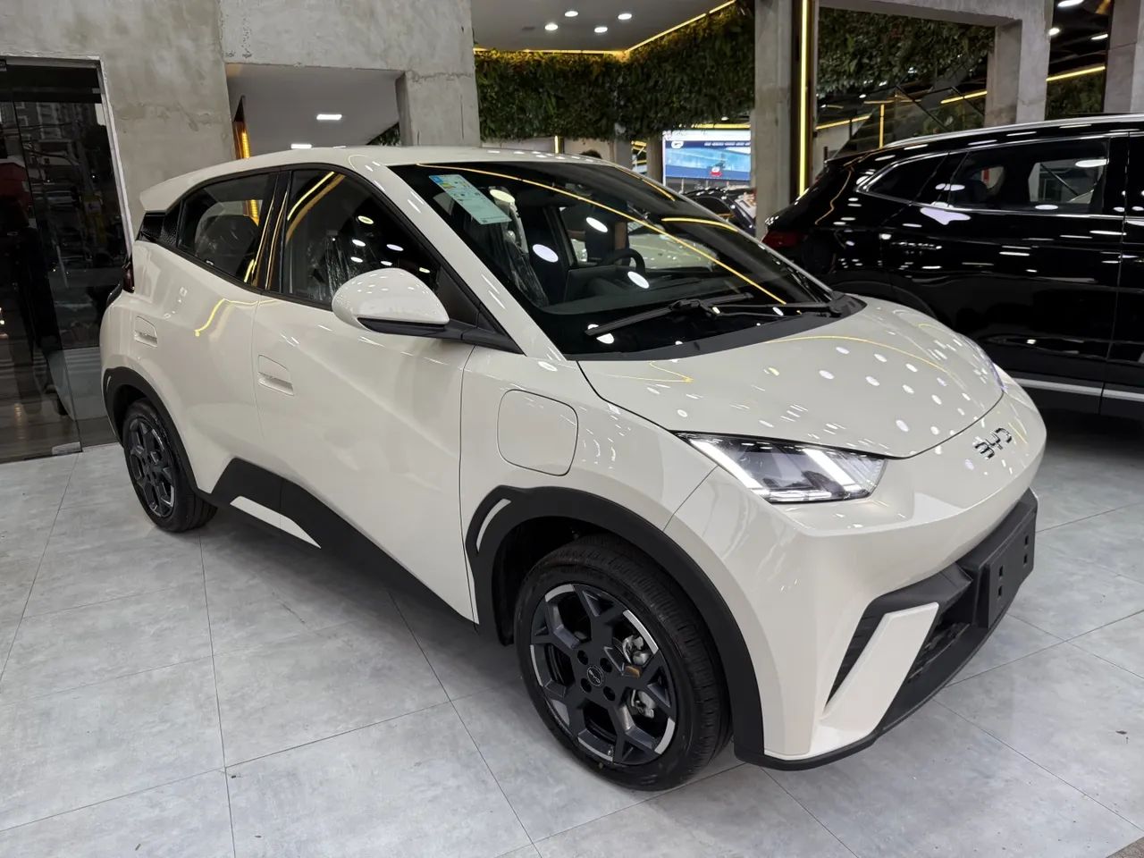 BYD Dolphin EV (Elétrico) 2027