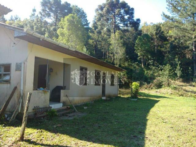 Chácara - Foto 6
