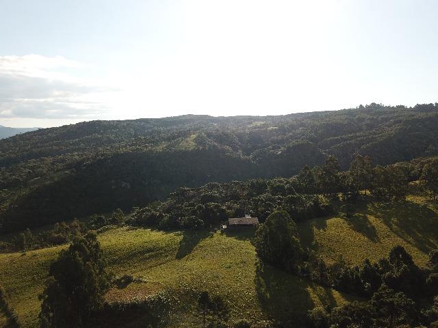 Terreno/Sítio - Foto 9
