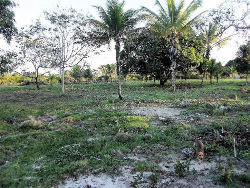 Terreno de 900 mil m2 em Porto Seguro - Foto 4