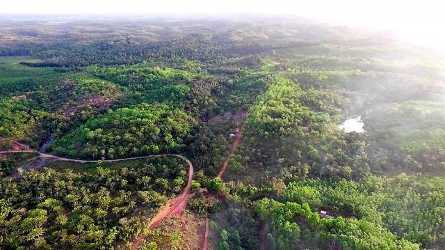 Fazenda em Igrapiuna com acesso ao mar - Foto 6