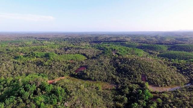 Fazenda em Igrapiuna com acesso ao mar - Foto 2