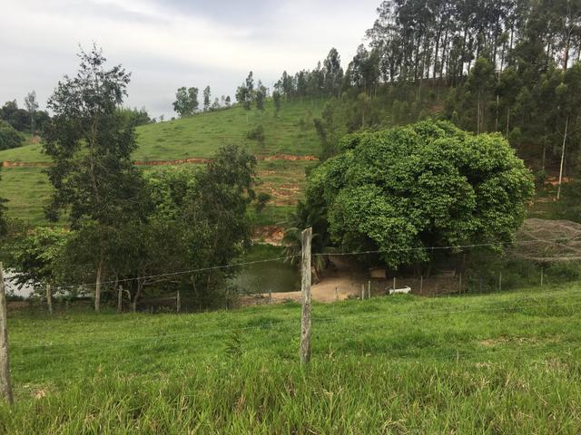Sítio com 4 alqueires em Caxeta - Foto 2