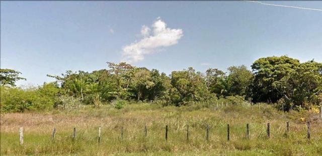 Terreno 200 mil m² na entrada de Trancoso