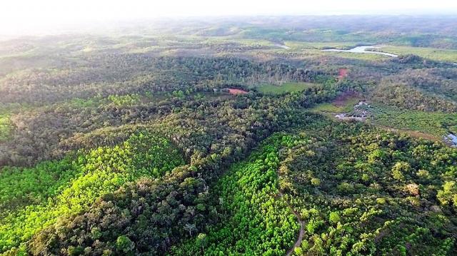 Fazenda em Igrapiuna com acesso ao mar - Foto 11