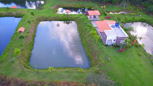 Chácara à venda, 70000 m² por r$ 690.000,00 - zuna rural - coxipó do ouro (cuiabá) - distr - Foto 5