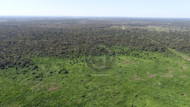 Fazenda 330 ha, região e poconé - Foto 2