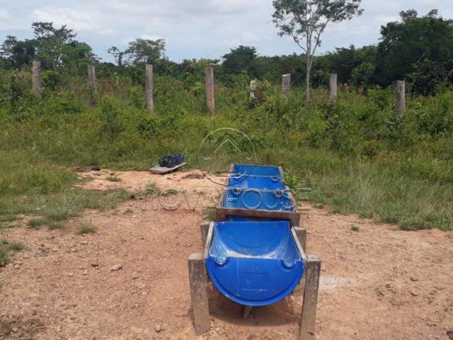 Fazenda rural à venda, centro, itaguaia - . - Foto 6