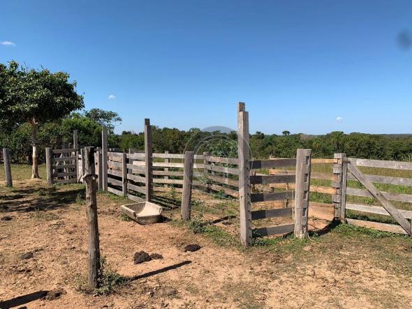 Sítio 23 há ( região capão das antas, sentido jangada) - Foto 12