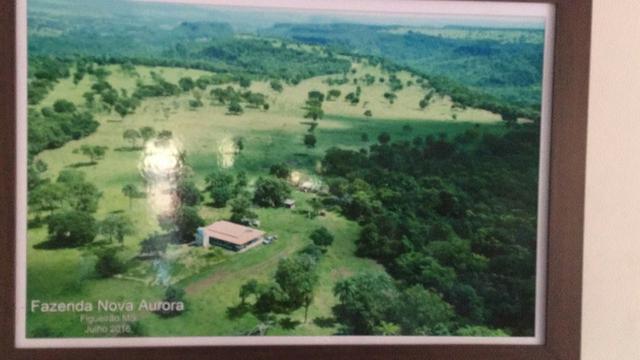 Linda fazenda com casa Sede - Foto 4