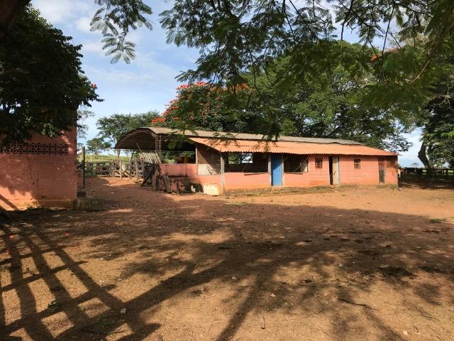 Fazenda 37,3 Alqueires ( 180,85 ha )- Nova Fátima-GO\Hidrolândia-GO - Foto 5