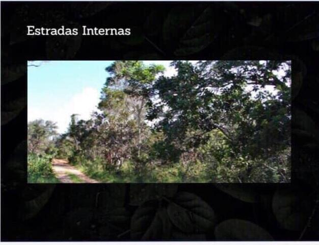 Fazenda na região de Formosa do Rio Preto-BA - Foto 3