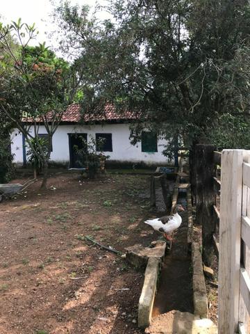 Fazenda 37,3 Alqueires ( 180,85 ha )- Nova Fátima-GO\Hidrolândia-GO - Foto 6