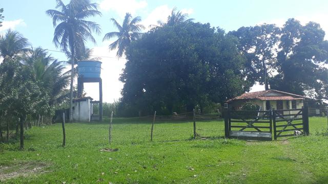 Fazenda em Mata de São João. BA - Foto 14
