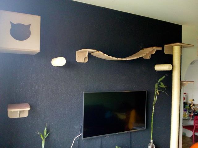 Ambientes para Gatos - Foto 2