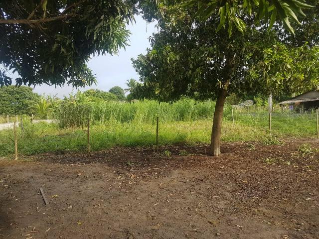 Sítio em Prado BA