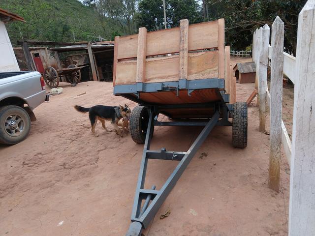 Carreta basculante agricultura - Foto 4