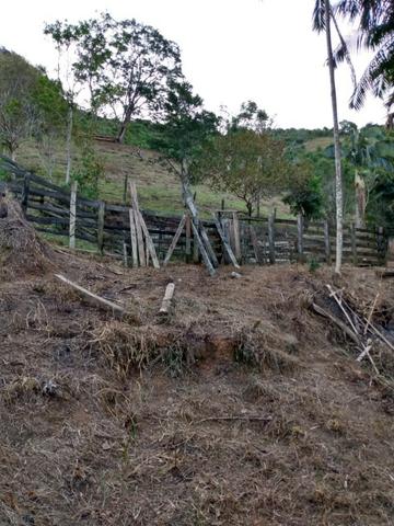 Terreno com 8 alqueires=19 hectares - Foto 7