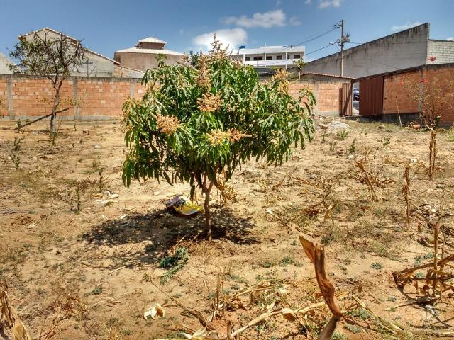 Vendo um terreno - Foto 6