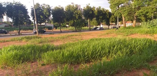 Lote Avenida Independência, Vila Rosa - 44 MTS - Foto 5