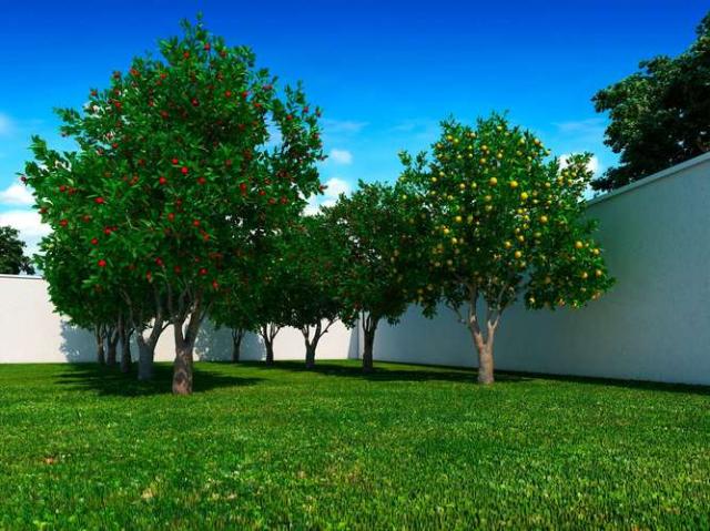 Gran Jardim - Apartamento 2 quartos em Goiania, GO - 39m² - ID3937 - Foto 10