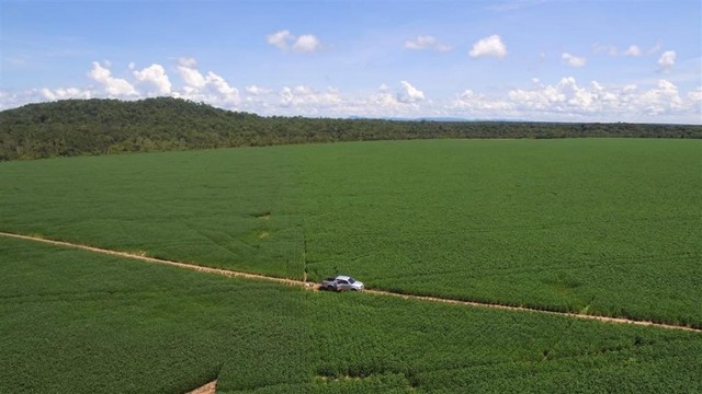 535 Alqueires em São valerio da natividade to - Foto 2
