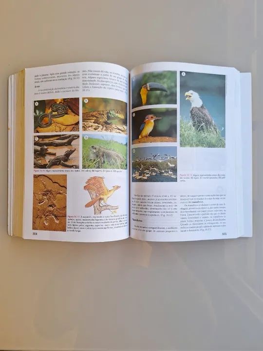 Biologia das Populações em bom estado - Foto 5