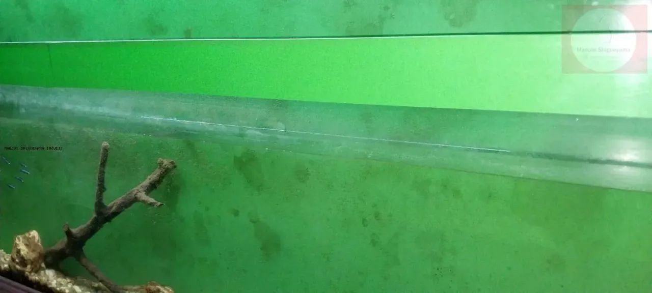 Loja para Venda em Salvador, Rio Vermelho, 4 banheiros, 5 vagas - Foto 4