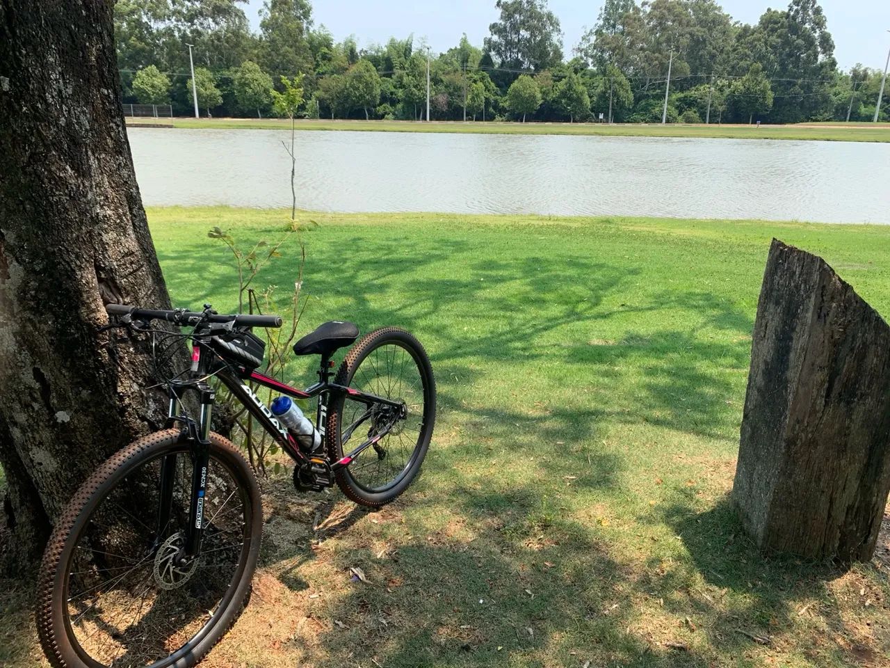 Bicicleta Audax 101 - Foto 2