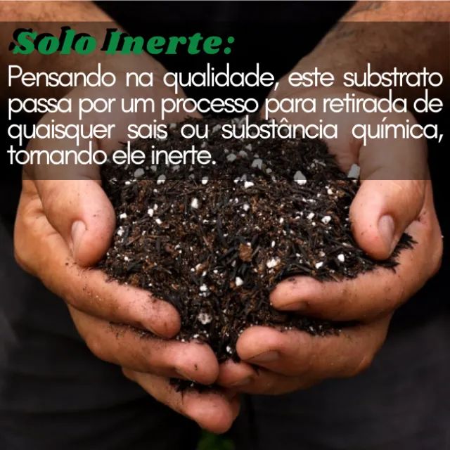 Substrato Inerte Para Cultivo Turfa + Perlita Sphagnum (50%-50%) pH5,8 EC0,3  - Lupa / - Foto 5