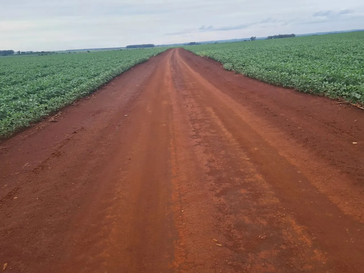 Fazenda com 436 alqueires (1.055há) em Dourados Ms com 10 anos de prazo p pagar