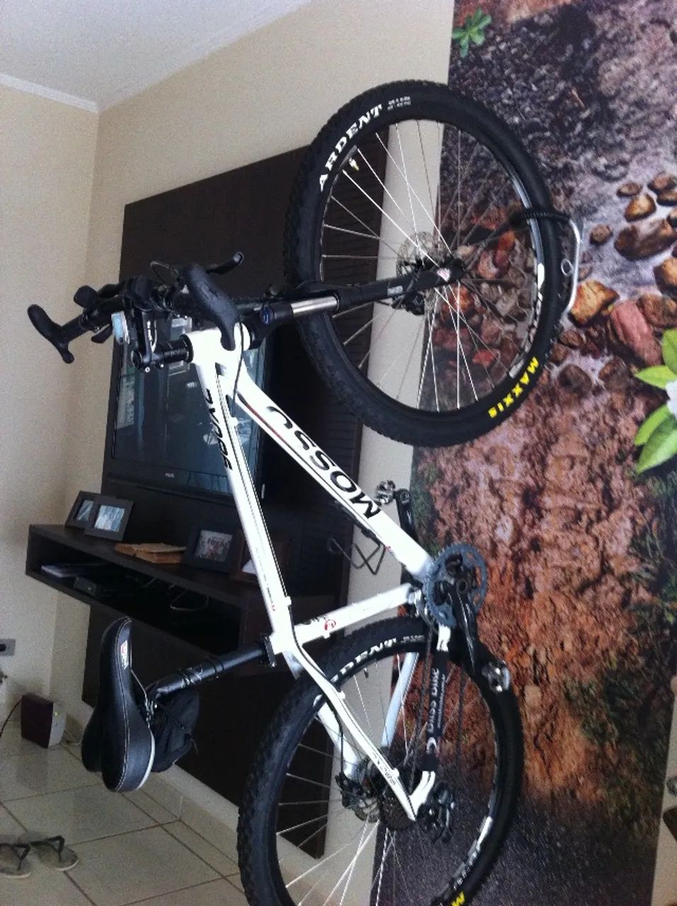 mountain bike aro 29