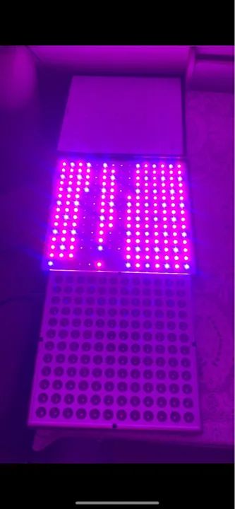Painel led para grow/cultivo - Foto 2
