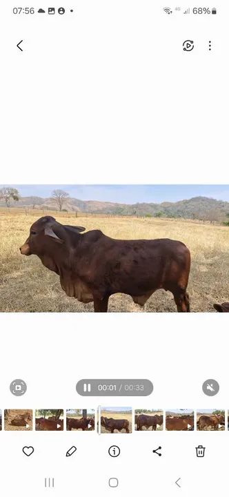 Tourinho sindi p.otourinhos sindi  - Foto 5