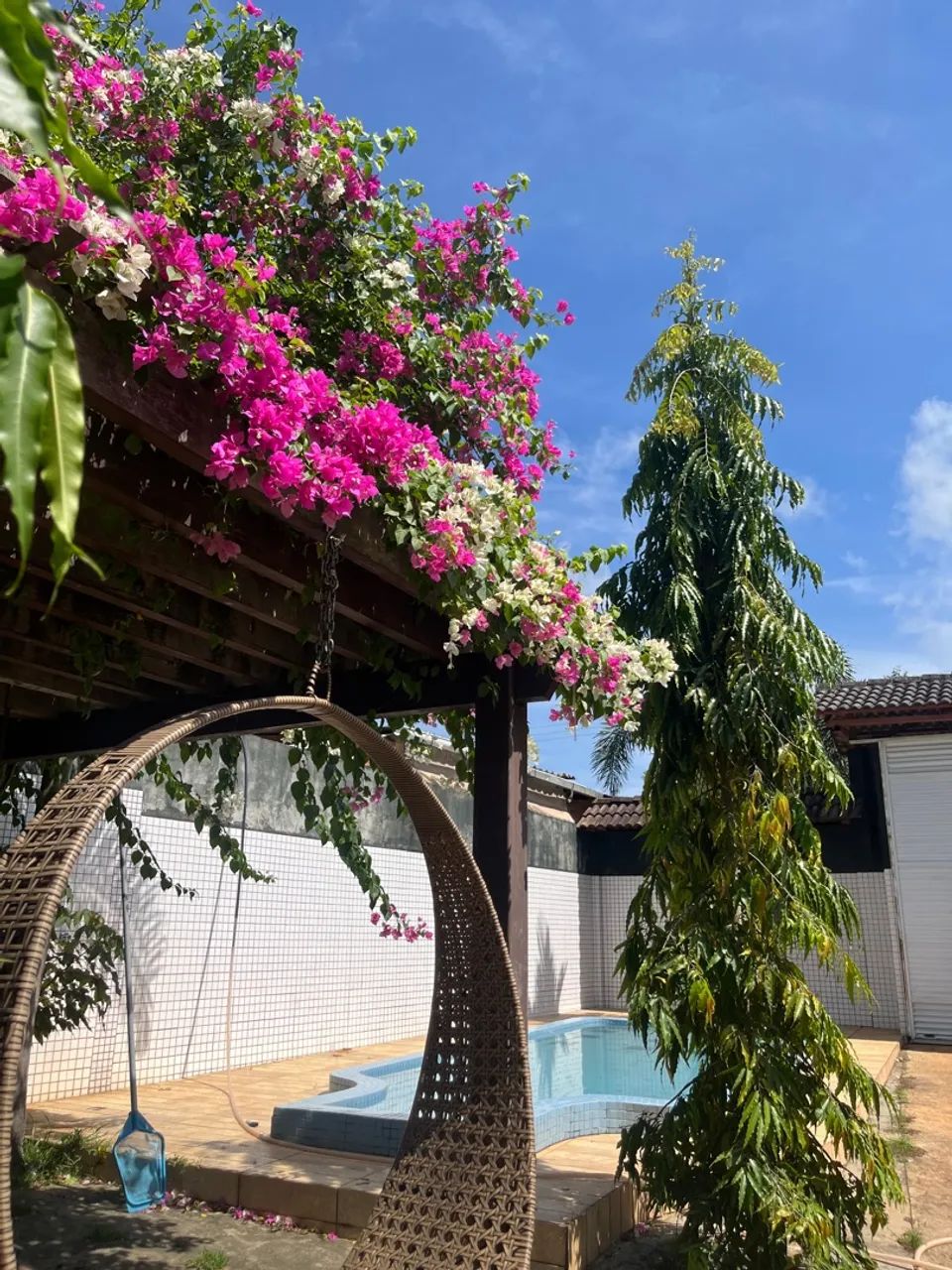 Chácara no Km 7 estrada Manoel Urbano  - Foto 5