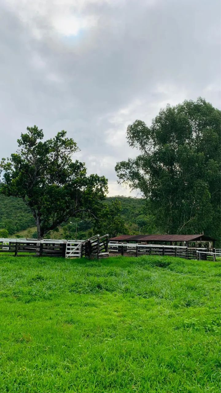 Fazenda a venda no município de URUAÇU Goiás  - Foto 9