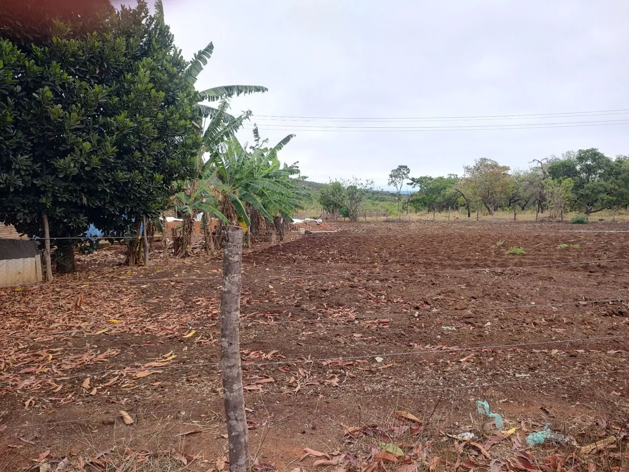 Fazenda DF Planaltina Beira DF 345 - Foto 3