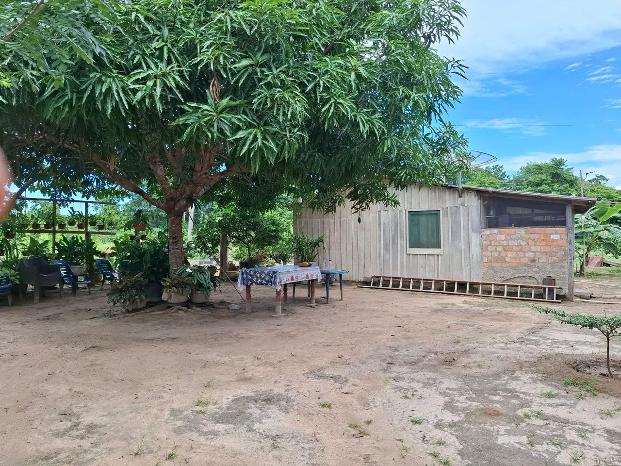  Vendo ou troco chácara 100X386m; área da vila Nova Esperança, Bonfim, há 52 km/Boa Vista. - Foto 3