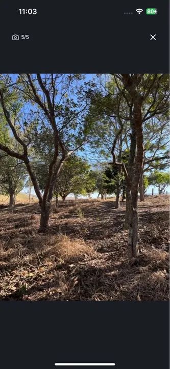 Vende SÍTIO  - Foto 3