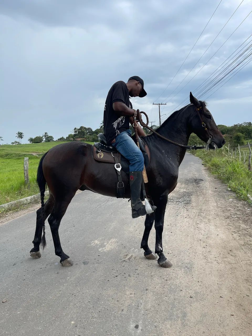 Cavalo Mangalarga Registrado  - Foto 3