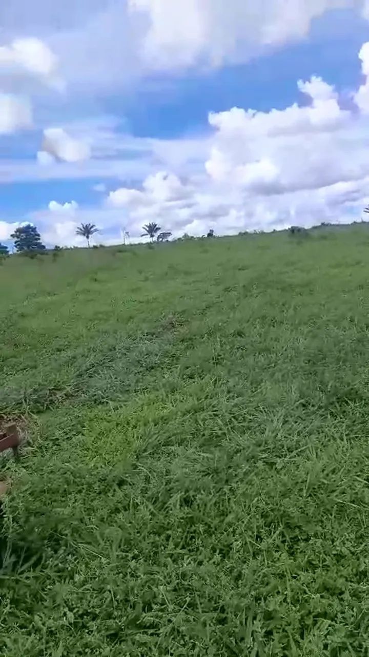 Fazenda em Juara - 100 hectares - Excelente Forma - Foto 4