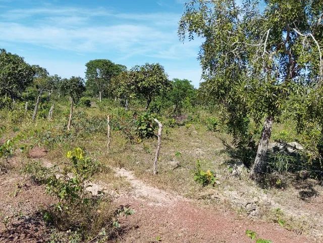Fazenda à venda em Lagoa do Tocantins - TO | 96,13 hectares - Foto 4