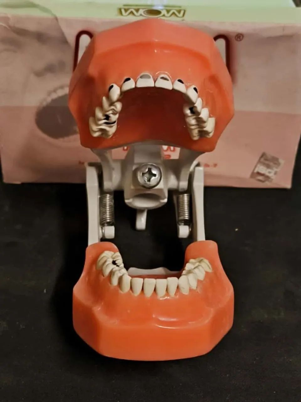 Manequim Odontopediatria - Foto 2