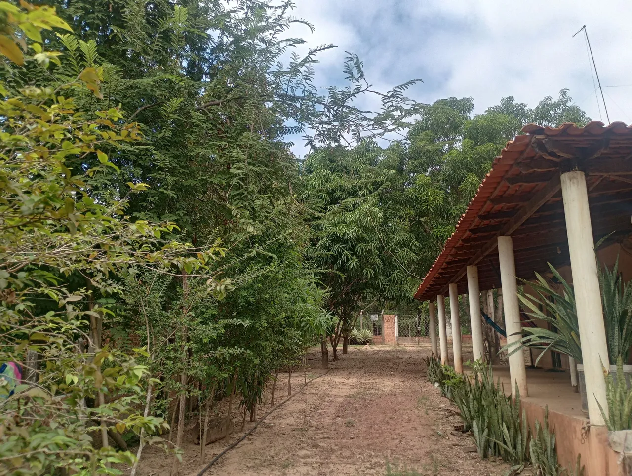 Sítio a venda na zona rural de timon