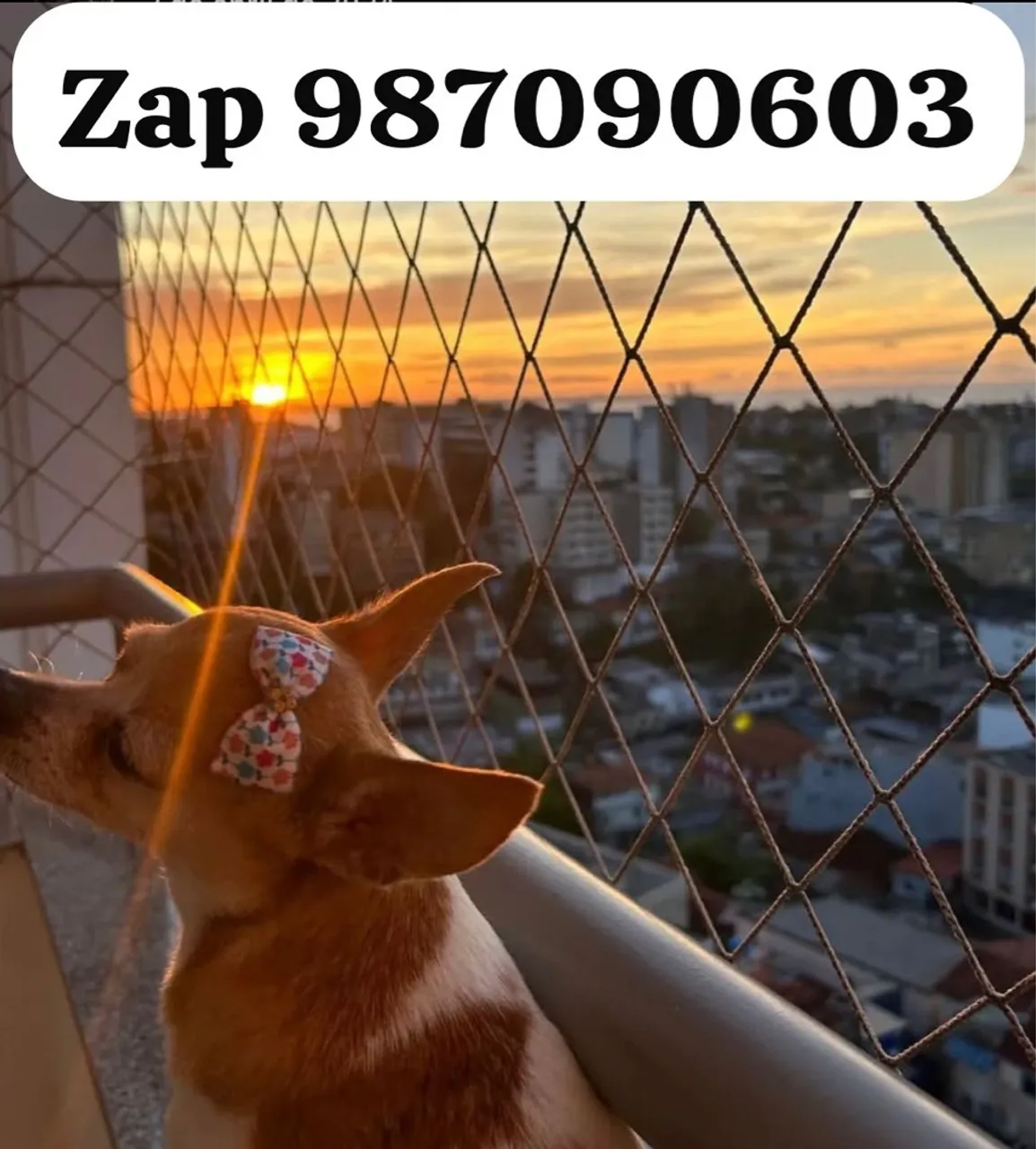 Redes de Proteção