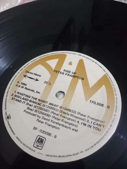 Peter Frampton - Rise Up - Disco de Vinil - Foto 3
