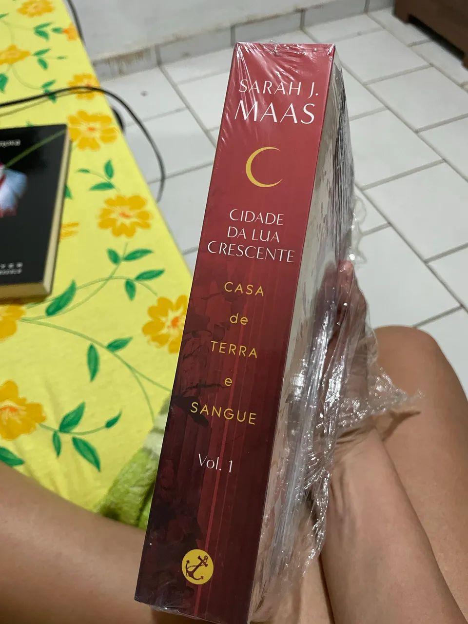 Livro Cidade da Lua Crescente - Casa de Terra e Sangue | NOVO
